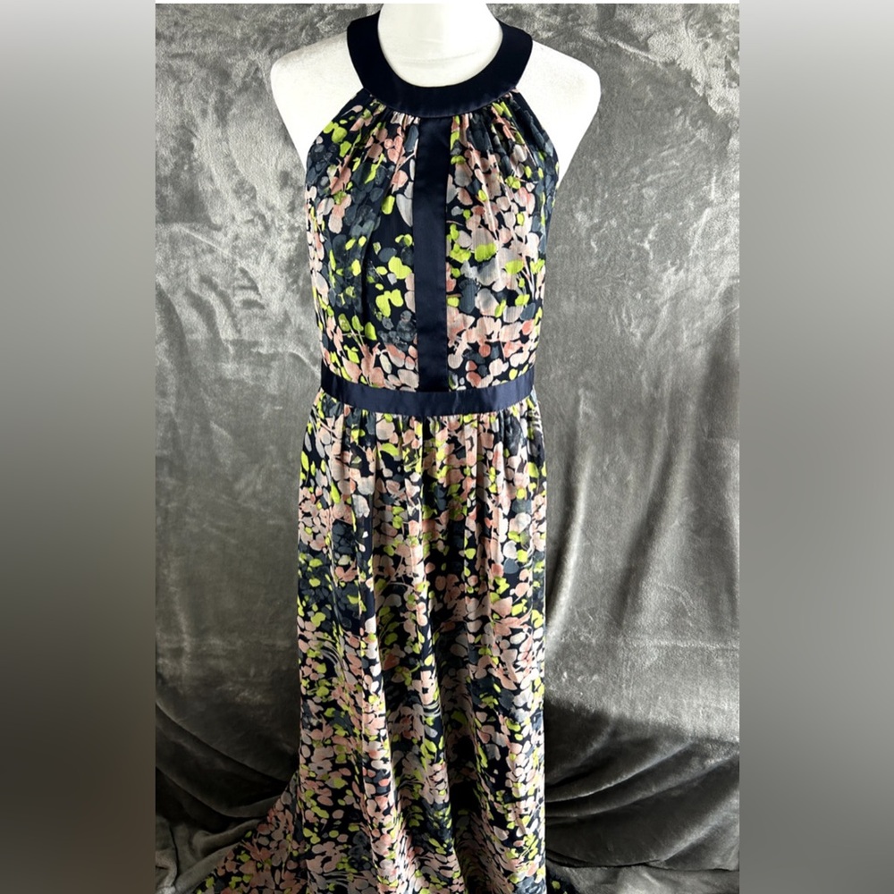 BCBG MaxAzria Women's Size 8 Floral Chiffon Maxi HIgh Neckline Dress